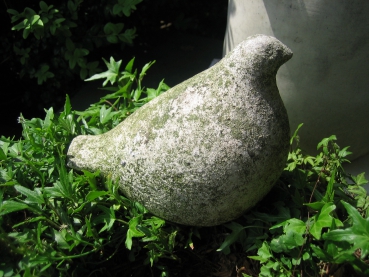 Steinvogel