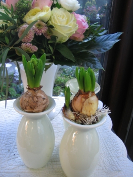 Milchglasfarbenes Hyazinthenglas